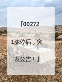 002721涨停后，突发公告！