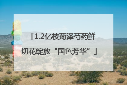 1.2亿枝菏泽芍药鲜切花绽放“国色芳华”