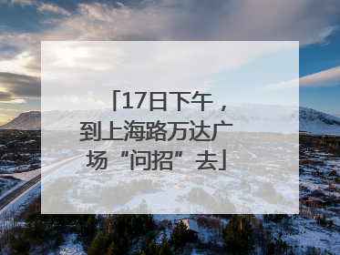17日下午，到上海路万达广场“问招”去