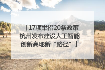 17项举措20条政策 杭州发布建设人工智能创新高地新“路径”