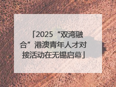 2025“双湾融合”港澳青年人才对接活动在无锡启幕
