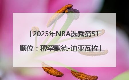 2025年NBA选秀第51顺位：穆罕默德-迪亚瓦拉