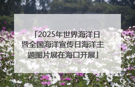 2025年世界海洋日暨全国海洋宣传日海洋主题图片展在海口开展