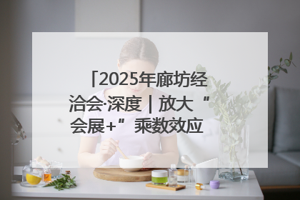 2025年廊坊经洽会·深度｜放大“会展+”乘数效应 打造消费新场景