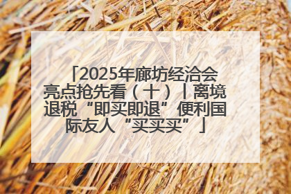 2025年廊坊经洽会亮点抢先看（十）丨离境退税“即买即退”便利国际友人“买买买”