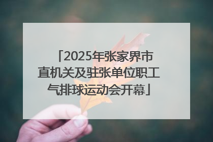 2025年张家界市直机关及驻张单位职工气排球运动会开幕