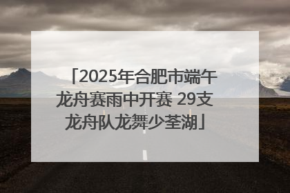 2025年合肥市端午龙舟赛雨中开赛 29支龙舟队龙舞少荃湖