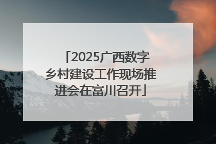 2025广西数字乡村建设工作现场推进会在富川召开