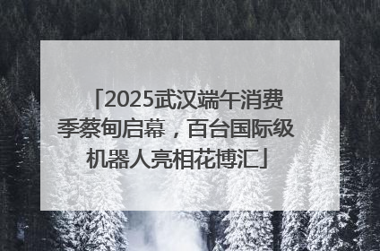 2025武汉端午消费季蔡甸启幕，百台国际级机器人亮相花博汇