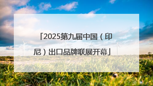 2025第九届中国（印尼）出口品牌联展开幕