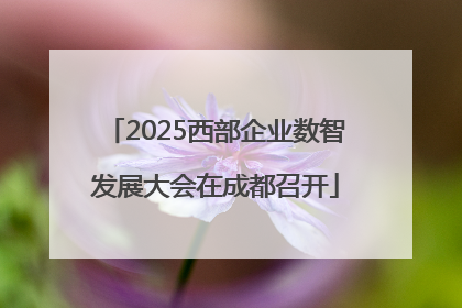 2025西部企业数智发展大会在成都召开