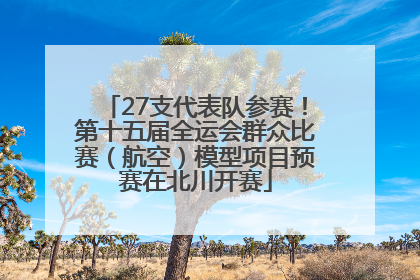 27支代表队参赛！第十五届全运会群众比赛（航空）模型项目预赛在北川开赛