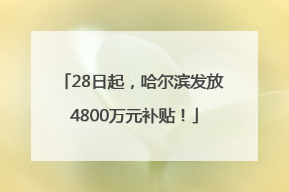 28日起，哈尔滨发放4800万元补贴！