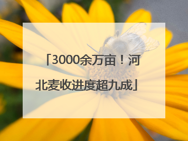 3000余万亩！河北麦收进度超九成