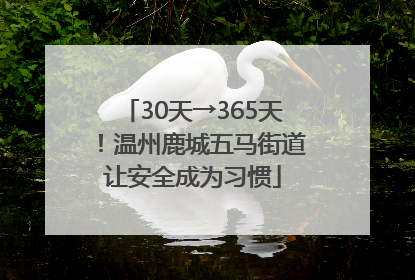 30天→365天！温州鹿城五马街道让安全成为习惯