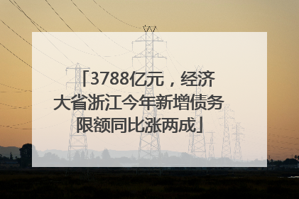 3788亿元，经济大省浙江今年新增债务限额同比涨两成