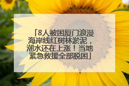 8人被困厦门浪漫海岸线红树林淤泥，潮水还在上涨！当地紧急救援全部脱困