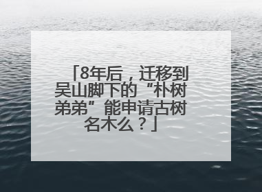 8年后，迁移到吴山脚下的“朴树弟弟”能申请古树名木么？