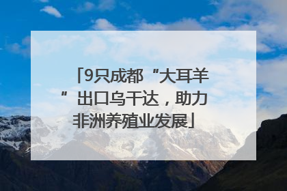 9只成都“大耳羊”出口乌干达，助力非洲养殖业发展