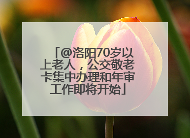 @洛阳70岁以上老人，公交敬老卡集中办理和年审工作即将开始