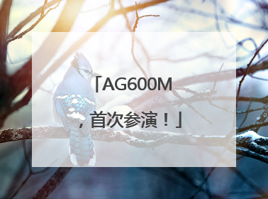 AG600M，首次参演！