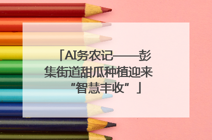 AI务农记——彭集街道甜瓜种植迎来“智慧丰收”