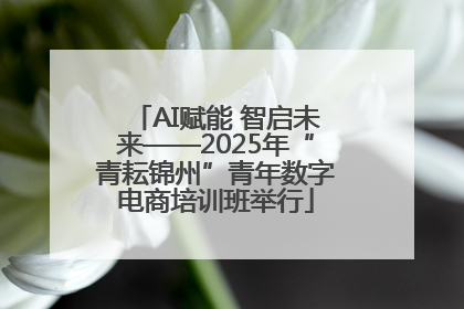AI赋能 智启未来——2025年“青耘锦州”青年数字电商培训班举行